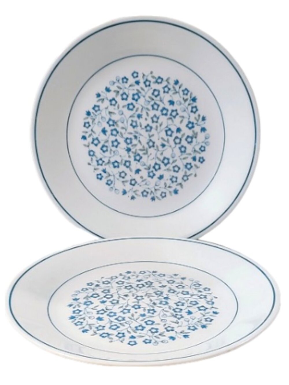 Vintage 70s Corelle by Corning Blue Heather Plates, Set of 2